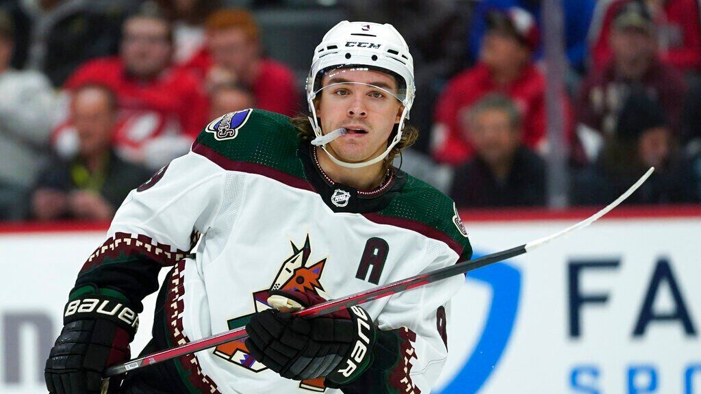 Arizona Coyotes